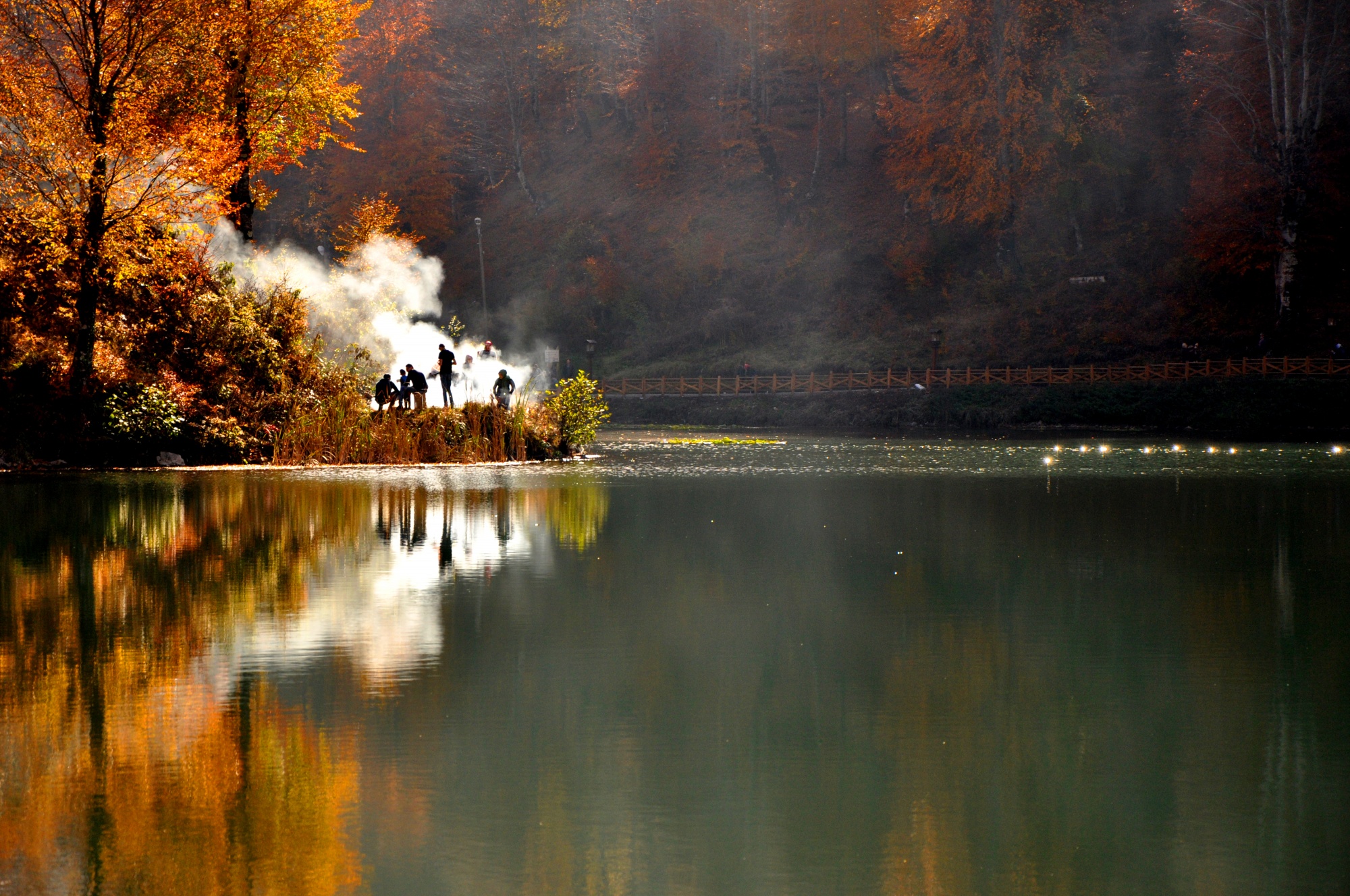 Gölköy Ulugöl Tabiat Parkı